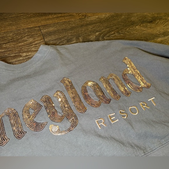 Disneyland Spirt Jersey - Rose Gold Sequin - Picture 2 of 15